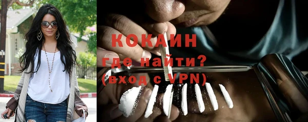 соль ск Вяземский