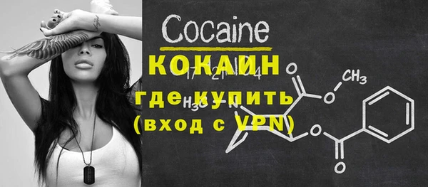 соль ск Вяземский