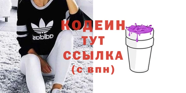 соль ск Вяземский