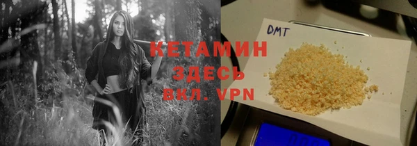 сатива Вязьма