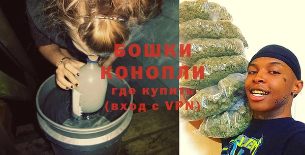 сатива Вязьма