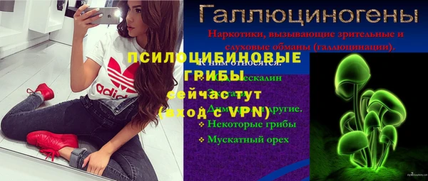 соль ск Вяземский