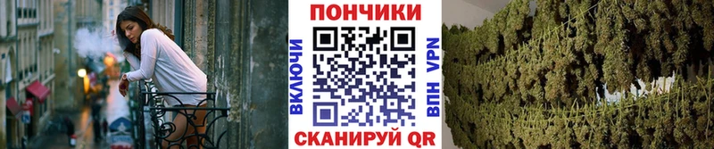 Шишки марихуана индика Рубцовск
